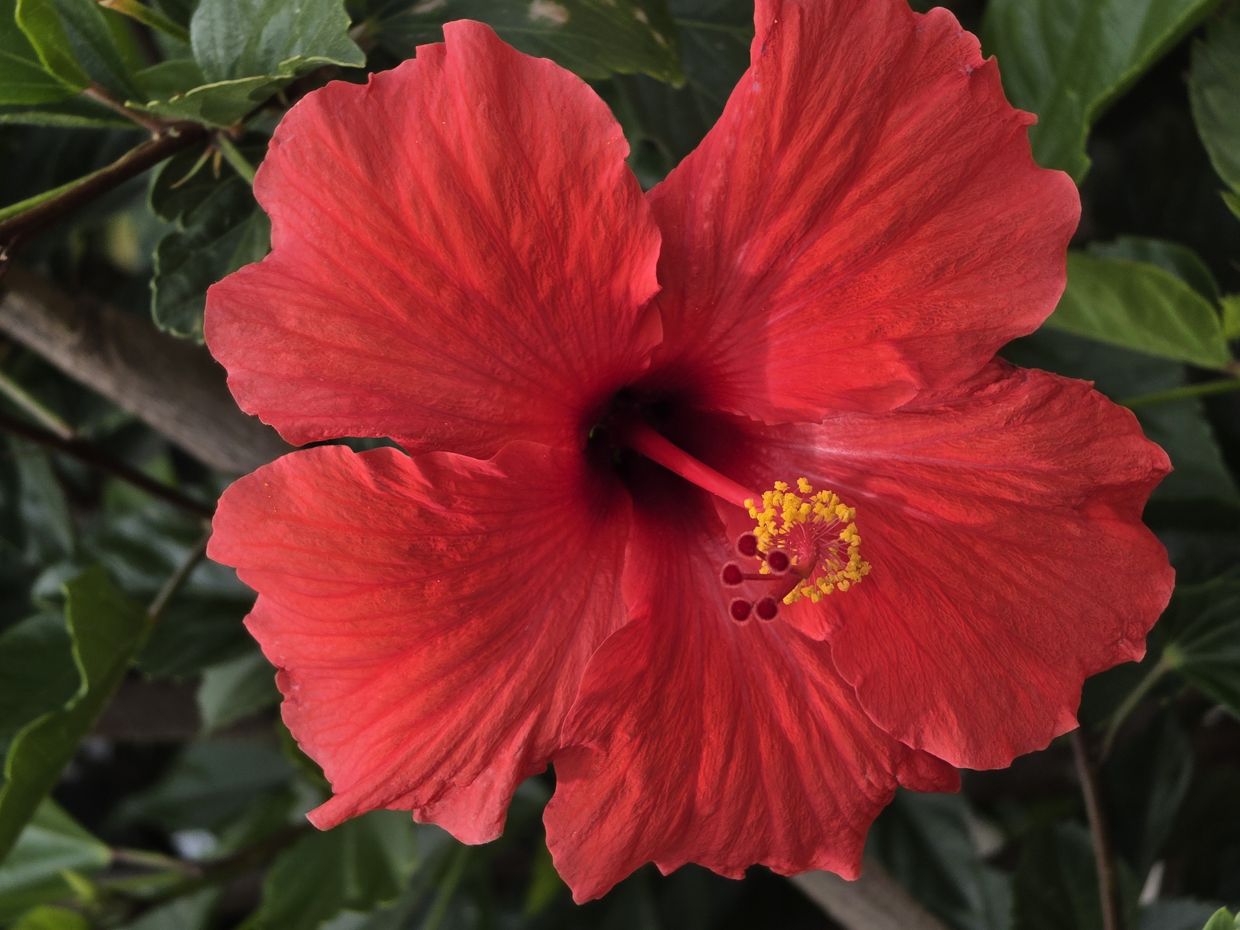 Photo shared by Michael & Dora Folden